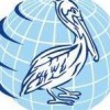 Pelican Energy Consulting
