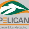Pelican Lawn & Landscpaing