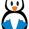 Pengu Swim School