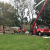 Penn West Tree Service