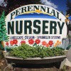 Perennial Nursery & Landscape