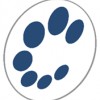 Peritech Solutions