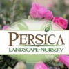 Persica Landscape