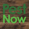 PestNow