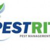 Pestrite Pest Management Services