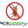 Pets 'r US Exterminating