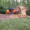 A-Quality Stump Grinding