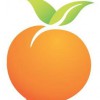 Peach Tree Clinic
