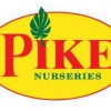 Pike Design Group