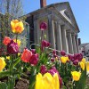Pilgrim Hall Museum