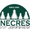 Pinecrest Tree Service