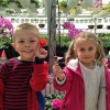 Pine Hill Nursery