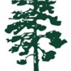 Pine Lane Nursery