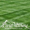 Pine Valley Turf & Management