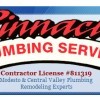 Pinnacle Plumbing Service