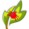 Pisgah Pest Control