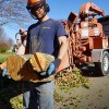 The Lumberjack Tree Service