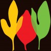 The Plant Kingdom