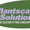 Plantscape Solutions