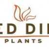 Plant Wisdom Garden Center