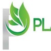 Platinum Lawn Service & Landscaping