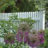 Pleasant Valley Fence