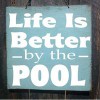 Pleasure Pools & Spas
