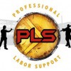 Professional Labor Support