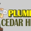 Plumbers Cedar Hill TX