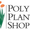 Poly Plant Shop