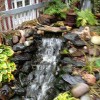 Pond Boy Water Gardens