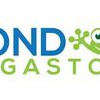 PondMegastore
