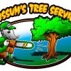 Possums Tree Service