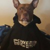 Powers Contracting
