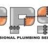 Professional Plumbing Service