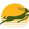 Precision Air