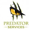 Predator Services