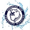 Pressure Dog Pressure Washing