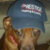 Prestige Heating & Cooling