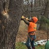Pridemark Tree Service