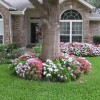 Prime Landscape Services