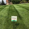 Pristine Lawn Care