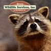 Illinois Wildlife Services