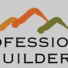 Professional Builders