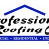 Professional Roofing