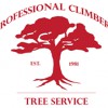 Professional Tree Climbers