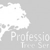 Professional Tree Services