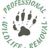 Professional Wildlife Removal