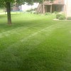 Pro Grass Lawn Care