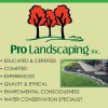 Pro Landscaping
